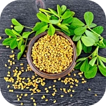 ingrediente estimulante 3